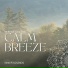 Serene Synths