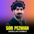 Saidullah Gurbaz
