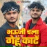 Pawan Halchal