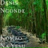 Denis Ngonde