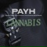 PayH