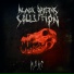 Black Origins Sollution