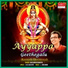 Rajkumar Bharathi