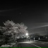 FADE031