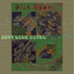 DNA Codex