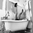 David Houle