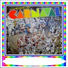 CARNAVAL
