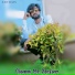Jakir sogan feat. Jakir khan