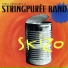 Senni Eskelinen & Stringpurée Band
