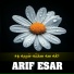 Arif Esar