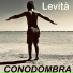 Conodombra