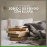 Fondo de la Lectura