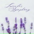 Sleep Music Relaxation