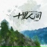 灰太狼大王OK