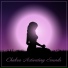 Guided Meditation Music Zone