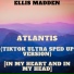 Ellis Madden