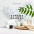 Healing Massage Music