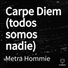 Metra Hommie