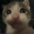 Sqwr