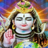 Kishan Kumar Yadav