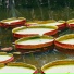 Subaze, Malie, Zen