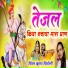 Krishna Singoli