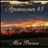 Архангельск 43