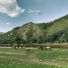 Айгуль Миндиярова, Krause