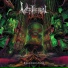 Verthebral