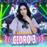 Niken Salindry feat. Ageng Music