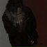 giela061, Sadzinnx