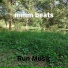 Run Music