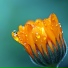 Tinnitus, Nature and Rain, Massage