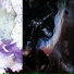 palterburn feat. Enyyo