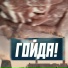 Тархун mz