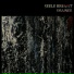 Seele Brennt