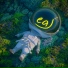 eaJ