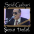 Seid Gabari