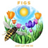 FIGS