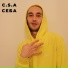 c. s. a