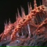 Yrsen
