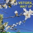 VSTGRX