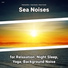 Relaxing Music, Ocean Sounds, Nature Sounds