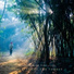 Footsteps in the Forest