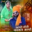 sanjay paliwal