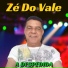Zé Do Vale