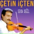 Çetin İçten