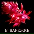 Олег Царегородцев