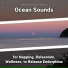 Sea Waves Sounds, Ocean Sounds, Nature Sounds