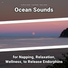 Sea Waves Sounds, Ocean Sounds, Nature Sounds